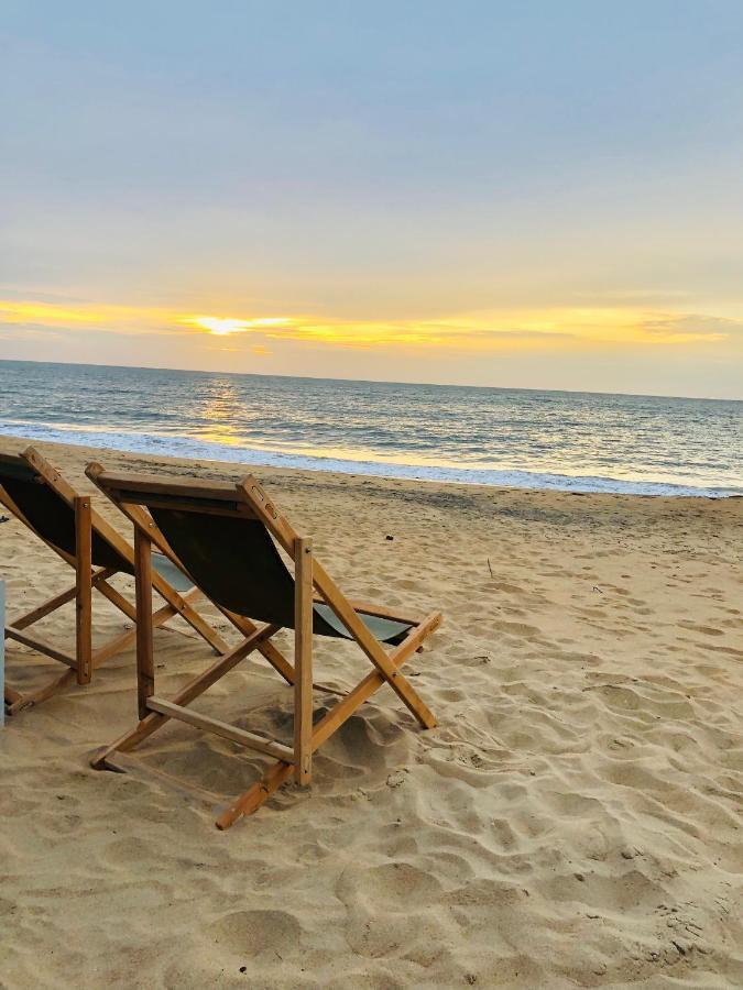 Windy Waves Kite Beach & Nature Resort كالبيتيا المظهر الخارجي الصورة